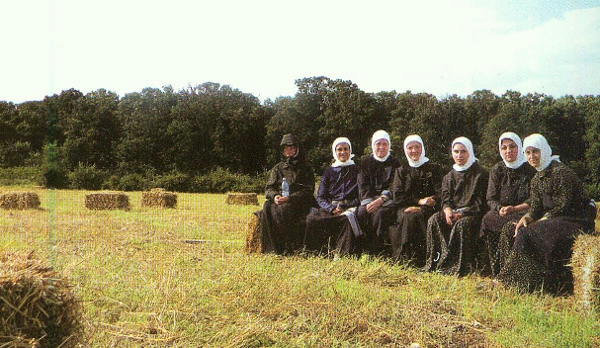 Activitati agricole - Manastirea Samurcasesti