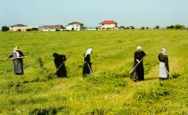 Ora et labora la manastirile Samurcasesti si Ghighiu